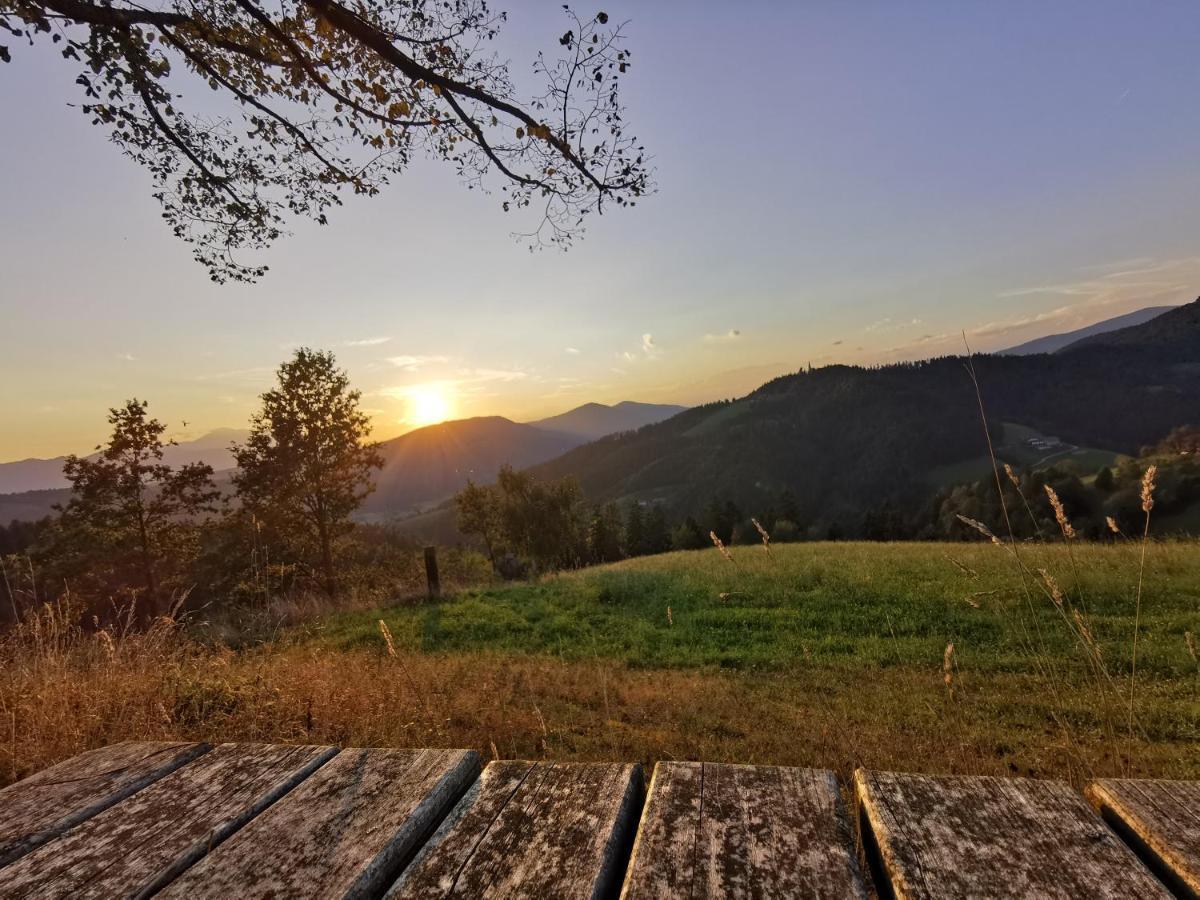 Villa Richterberg With Sauna & Hot Tub Slovenj Gradec Eksteriør billede