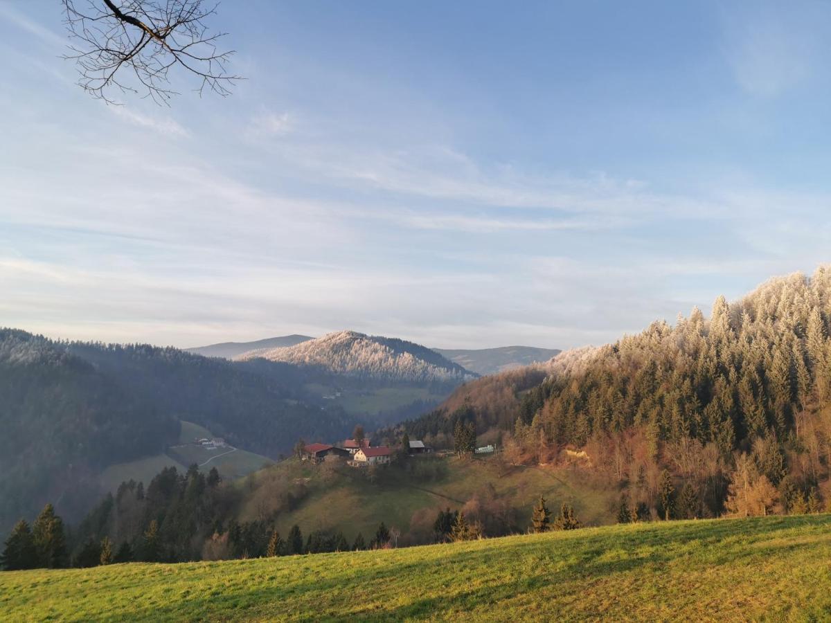 Villa Richterberg With Sauna & Hot Tub Slovenj Gradec Eksteriør billede