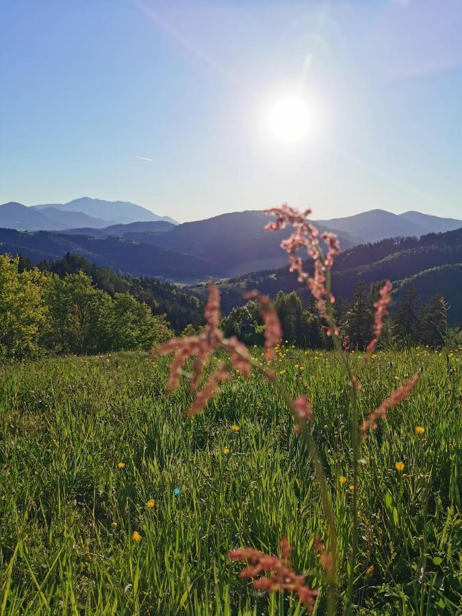 Villa Richterberg With Sauna & Hot Tub Slovenj Gradec Eksteriør billede