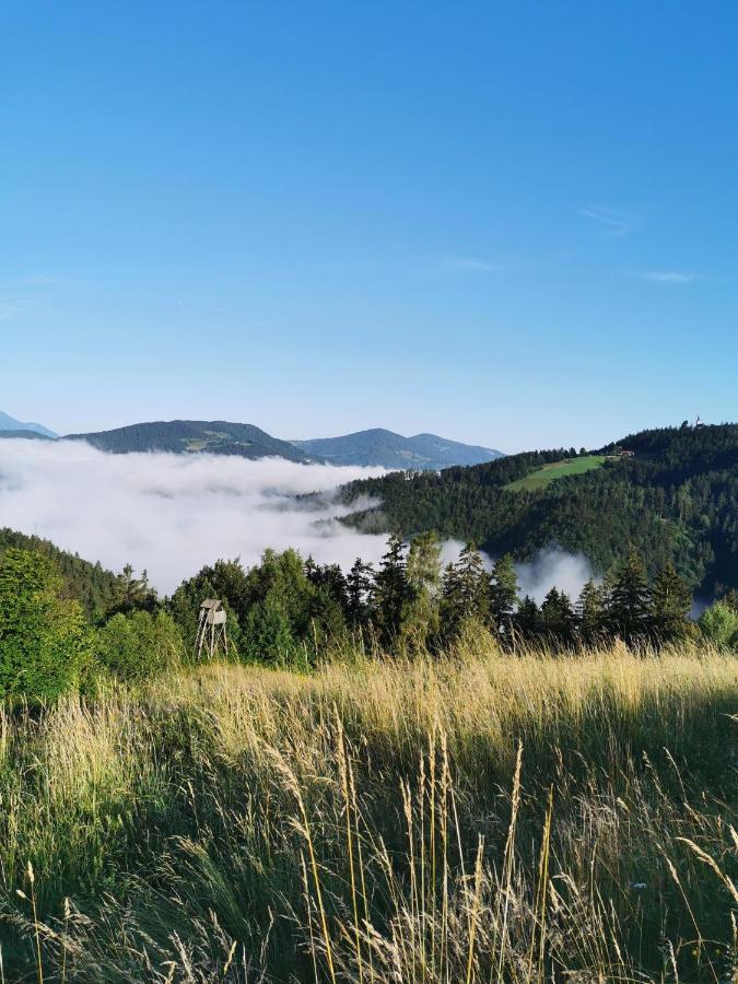 Villa Richterberg With Sauna & Hot Tub Slovenj Gradec Eksteriør billede