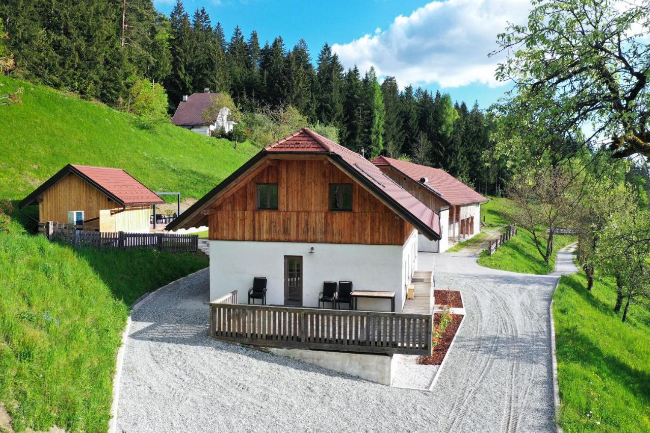Villa Richterberg With Sauna & Hot Tub Slovenj Gradec Eksteriør billede