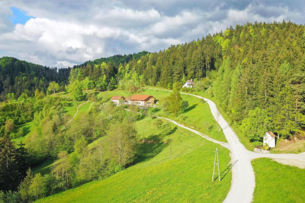 Villa Richterberg With Sauna & Hot Tub Slovenj Gradec Eksteriør billede