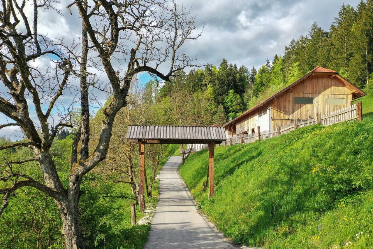 Villa Richterberg With Sauna & Hot Tub Slovenj Gradec Eksteriør billede